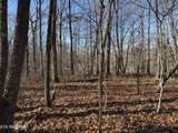  Sycamore Bend - Photo 1