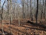  Sycamore Bend - Photo 3