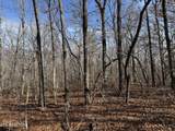  Sycamore Bend - Photo 6
