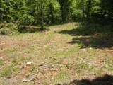 TBD Lake Hollow Rd - Photo 13