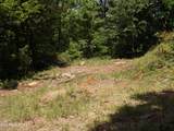 TBD Lake Hollow Rd - Photo 16