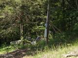 TBD Lake Hollow Rd - Photo 8