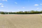 505 Plantation Way - Photo 3