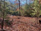 Lot English Springs Way - Photo 1