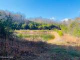 Lot English Springs Way - Photo 14