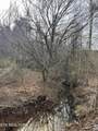 3012 Ballplay Rd - Photo 6