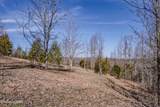  Poplar Drive - Photo 16