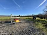 383 County Road 651 - Photo 12
