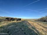 383 County Road 651 - Photo 14