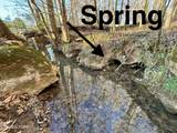 383 County Road 651 - Photo 4