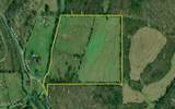 383 County Road 651 - Photo 55