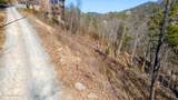Lot 10 Bg Fox View Rd - Photo 18