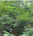  Ridgefield Drive - Photo 4