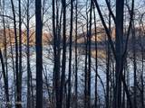 0 Back Bone Rd - Photo 4