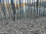 0 Back Bone Rd - Photo 6