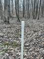 0 Back Bone Rd - Photo 8