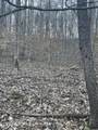 0 Back Bone Rd - Photo 9