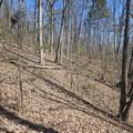 0 Lick Creek Rd - Photo 13