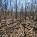 0 Lick Creek Rd - Photo 23
