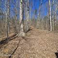 0 Lick Creek Rd - Photo 28
