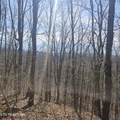 0 Lick Creek Rd - Photo 8