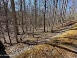714 Pinnacle Vista Rd Lot 28 - Photo 10