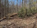 714 Pinnacle Vista Rd Lot 28 - Photo 15
