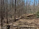 714 Pinnacle Vista Rd Lot 28 - Photo 16