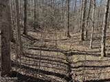 714 Pinnacle Vista Rd Lot 28 - Photo 17