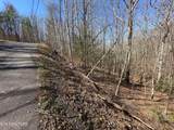 714 Pinnacle Vista Rd Lot 28 - Photo 6