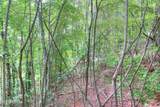 Lot 209 Clinch View Rd - Photo 10