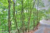 Lot 209 Clinch View Rd - Photo 9