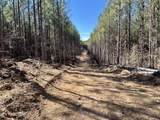  Lot 18 Sam Davis Road - Photo 2