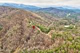 Lot 41 Black Maple Way - Photo 16