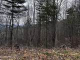 Lot 41 Black Maple Way - Photo 26