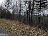 Lot 41 Black Maple Way - Photo 28