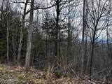 Lot 41 Black Maple Way - Photo 30