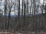 Lot 41 Black Maple Way - Photo 31