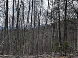 Lot 41 Black Maple Way - Photo 32