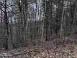 Lot 41 Black Maple Way - Photo 33
