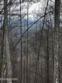 Lot 41 Black Maple Way - Photo 34