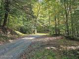 73.87ac Mill Hollow Rd - Photo 1