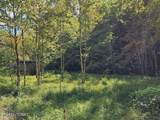 73.87ac Mill Hollow Rd - Photo 14
