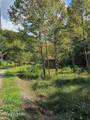 73.87ac Mill Hollow Rd - Photo 15