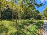 73.87ac Mill Hollow Rd - Photo 16