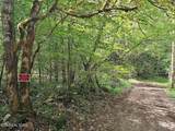 73.87ac Mill Hollow Rd - Photo 2