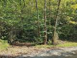 73.87ac Mill Hollow Rd - Photo 3