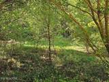 73.87ac Mill Hollow Rd - Photo 4
