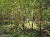 73.87ac Mill Hollow Rd - Photo 5