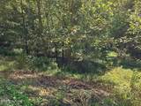 73.87ac Mill Hollow Rd - Photo 6